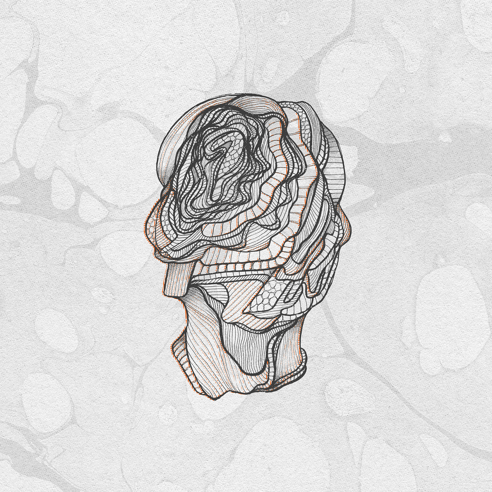 calibre_littlefoot_front_v3 Calibre. Little Foot album.